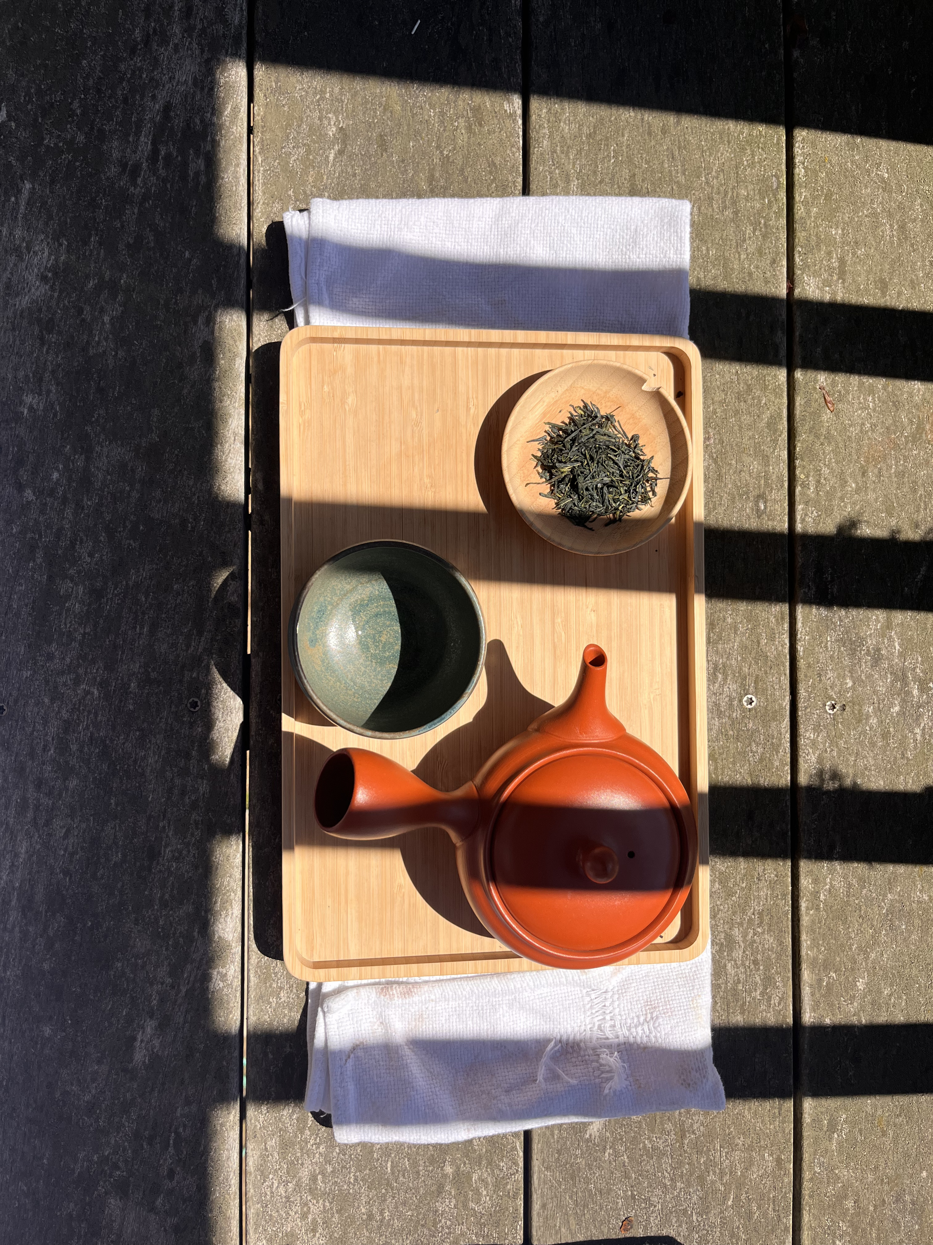 Gyokuro Fujinami